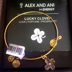 alex & ani bracelet